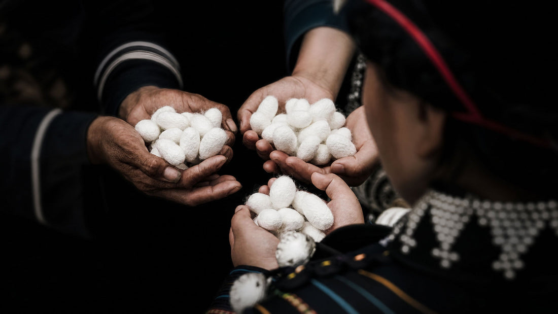 Traditional silkworm farming process showing the beginning of silk production